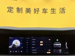 Hongqi E-HS9 2022 690km Qixiang Edition Six-Seater - фото 19