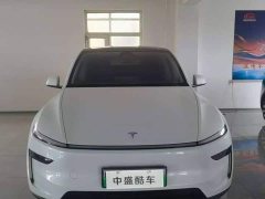 Tesla Model Y Long Range All-Wheel Drive - фото 1