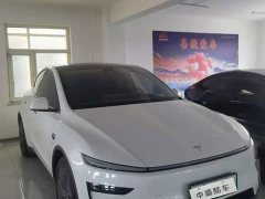 Tesla Model Y Long Range All-Wheel Drive - фото 2