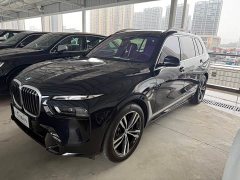 BMW X7 xDrive40i Deluxe VersionM - фото 1