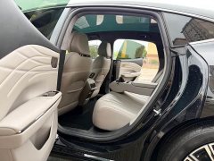 Geely Galaxy Star-Glory 8 130km EM-P Starship Edition - фото 18
