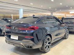 BMW X6 xDrive40i M - фото 19