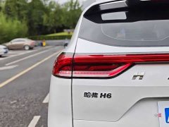 Haval H6 Edition 1.5T Edition - фото 15