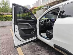 Haval H6 2021 Guochao Edition 1.5T Automatic Champion Edition - фото 12