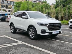 Haval H6 2021 Guochao Edition 1.5T Automatic Champion Edition - фото 2