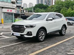 Haval H6 2021 Guochao Edition 1.5T Automatic Champion Edition - фото 4