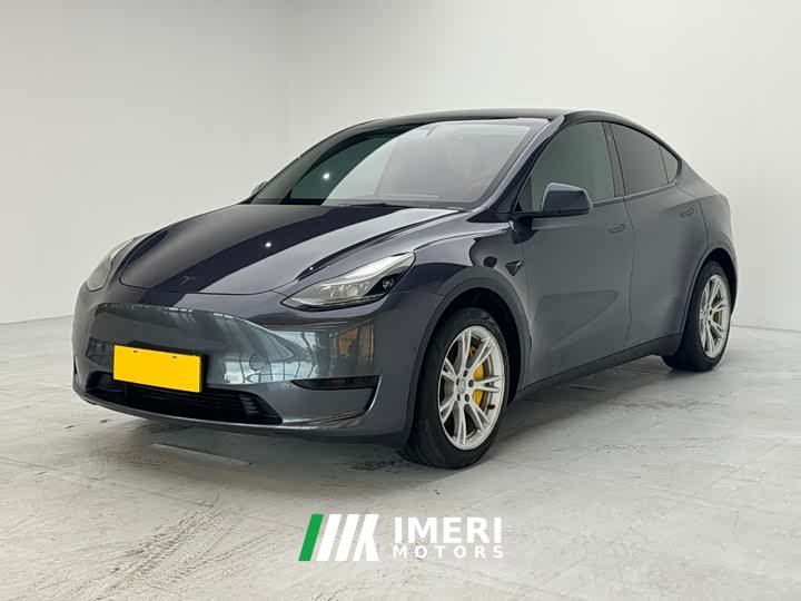 Tesla Model Y rear-wheel drive version - автомобиль из Китая