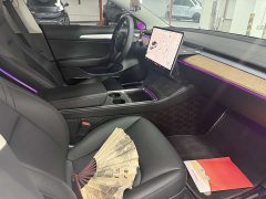 Tesla Model 3 Standard Range Rear Drive Upgraded Version - фото 4