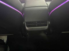 Tesla Model 3 Standard Range Rear Drive Upgraded Version - фото 5
