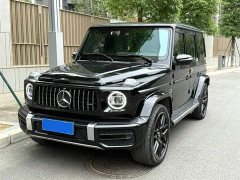 Mercedes-Benz G-Class G 500 - фото 1