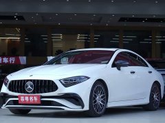 Mercedes-Benz CLS 300 Dynamic - фото 1