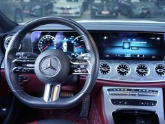 Mercedes-Benz CLS 300 Dynamic - фото 12