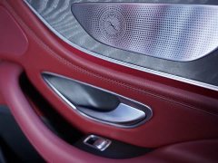 Mercedes-Benz CLS 300 Dynamic - фото 19