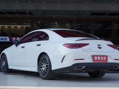 Mercedes-Benz CLS 300 Dynamic - фото 2