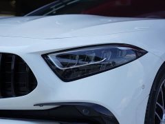Mercedes-Benz CLS 300 Dynamic - фото 3