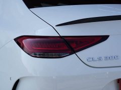 Mercedes-Benz CLS 300 Dynamic - фото 4