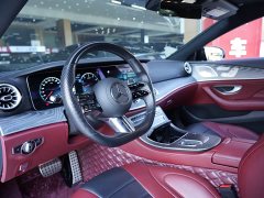 Mercedes-Benz CLS 300 Dynamic - фото 6
