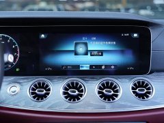 Mercedes-Benz CLS 300 Dynamic - фото 9