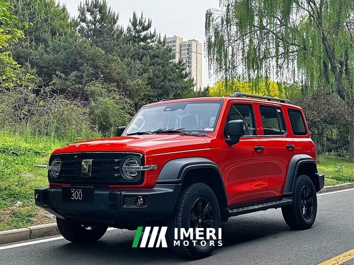 Tank 300 2.4T diesel version - автомобиль из Китая