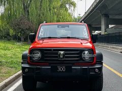 Tank 300 2.4T diesel version - фото 2