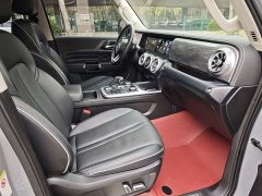 Tank 300 2023 City Edition 2.0T Very Stylish - фото 10