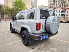 Tank 300 2023 City Edition 2.0T Very Stylish - фото 13