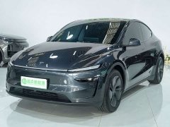Tesla Model Y Rear-Wheel Drive Launch Edition - фото 1