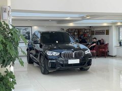 BMW X5 2022 xDrive 30Li M Sport Luxury Package - фото 3