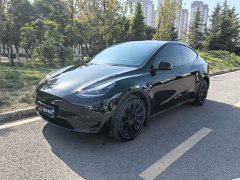 Tesla Model Y Rear-Wheel Drive - фото 1
