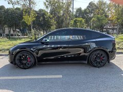 Tesla Model Y Rear-Wheel Drive - фото 3