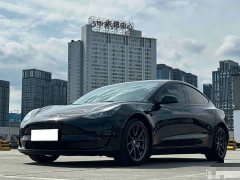 Tesla Model 3 2022 Rear-Wheel Drive - фото 1