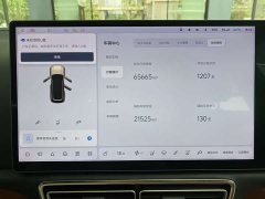 Li Auto Ideal L8 Pro - фото 11