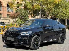 BMW X6 xDrive40i M - фото 3