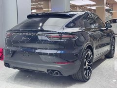 Porsche Cayenne 3.0T Platinum Edition - фото 8