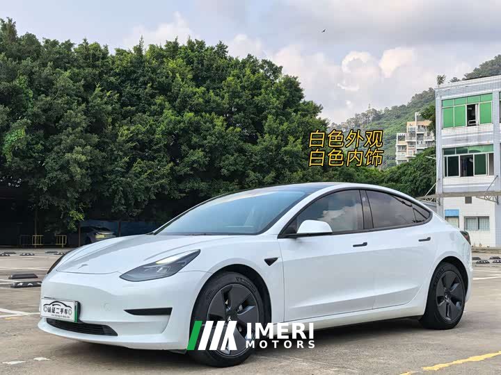 Tesla Model 3 Standard Range Edition 3D6 - автомобиль из Китая