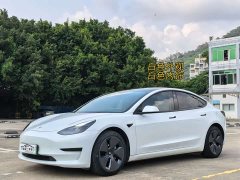 Tesla Model 3 Standard Range Edition 3D6 - фото 1