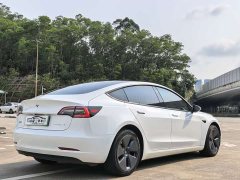 Tesla Model 3 Standard Range Edition 3D6 - фото 11