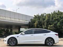 Tesla Model 3 Standard Range Edition 3D6 - фото 4