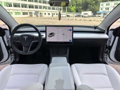 Tesla Model 3 Standard Range Edition 3D6 - фото 6