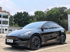 Tesla Model Y Standard Range Rear-Wheel Drive - фото 1