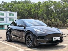 Tesla Model Y Standard Range Rear-Wheel Drive - фото 3