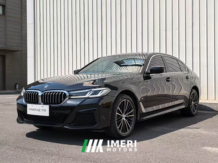 BMW 5 Series 530Li Luxury M Sport Package - автомобиль из Китая