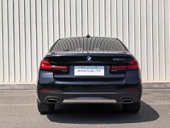 BMW 5 Series 530Li Luxury M Sport Package - фото 8