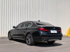 BMW 5 Series 530Li Luxury M Sport Package - фото 9