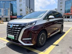 Denza D9 DM-i 970 four-wheel drive flagship - фото 1