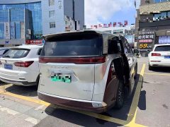 Denza D9 DM-i 970 four-wheel drive flagship - фото 4