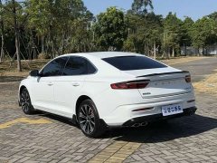 Geely 1.5TD Edition - фото 16