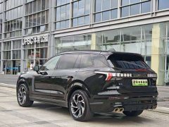 Lynk & Co 09 EM-P 2021 2.0T PHEV Ultra six-seater - фото 5