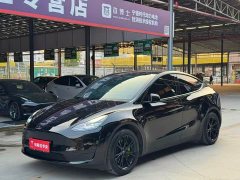 Tesla Model Y Rear-Wheel Drive - фото 1