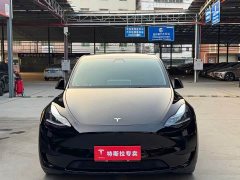 Tesla Model Y Rear-Wheel Drive - фото 2